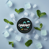 Garant Nicotine Pouches - Pack of 10 - Fresh Mint
