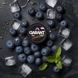 Garant Nicotine Pouches - Pack of 10 - Ice Blue Berry