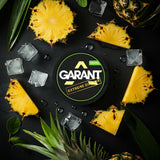 Garant Nicotine Pouches - Pack of 10 - Pineapple