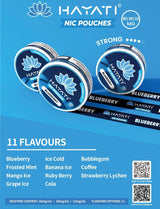 Hayati Nicotine Pouches Pack of 10 - Blueberry