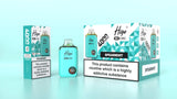 Higo BB 4000 Prefilled Pod Vape Kit Box of 5 - Spearmint
