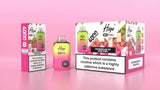 Higo BB 4000 Prefilled Pod Vape Kit Box of 5 - Watermelon Ice Huba Buba