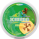 Iceberg Snus 16gr 50mg Pouches - Pack of 10 - Feijoa