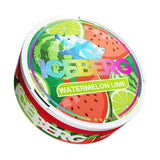 Iceberg Snus 16gr 50mg Pouches - Pack of 10 - Watermelon Lime
